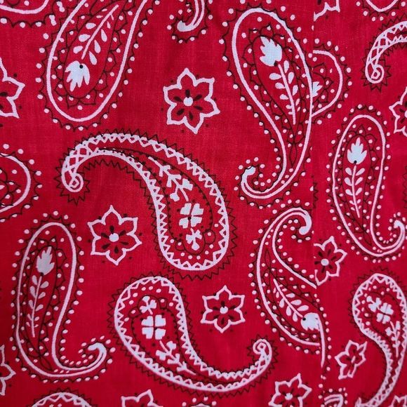 Vintage 2pc Paisley Skirt Set - Picture 7 of 8